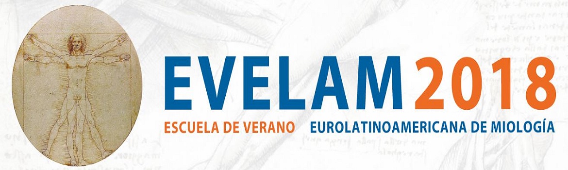 Evelam 2018: Chile será sede de evento internacional sobre enfermedades del sistema nervioso
